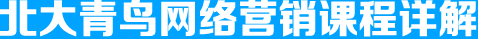 北大青鸟网络营销课程详解 