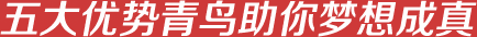 五大优势青鸟助你梦想成真
